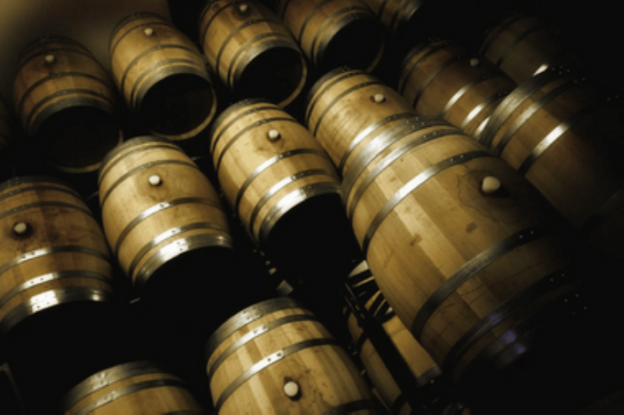 Mallorca: Bodega Butxet Vineyards & Winery Tour With Tasting