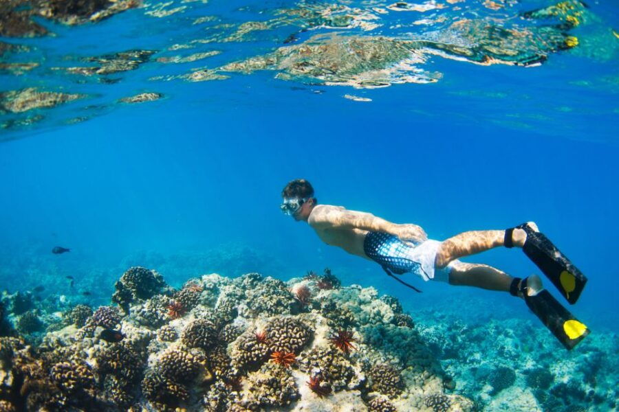 Maui: Pali Sea Cliff Kayak and Snorkel Tour - Inclusions