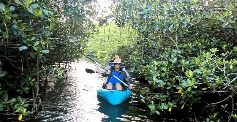 Merritt Island: Guided Kayak Eco-Tour Experience