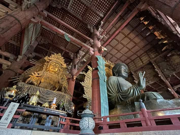 Nara: Half Day Local Guide– Big Buddha, Deer, Shrine, Forest - Good To Know