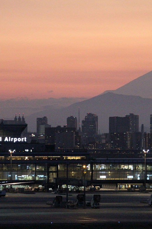 Narita Airport（NRT）to/from Mount Fuji Private Transfer