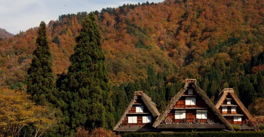 Nostalgic Shirakawa-go AM Bus Tour - Good To Know