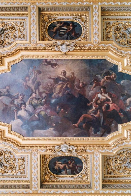 Rome: A Guided Tour of the Patrizi Montoro Family Palace - Inclusions