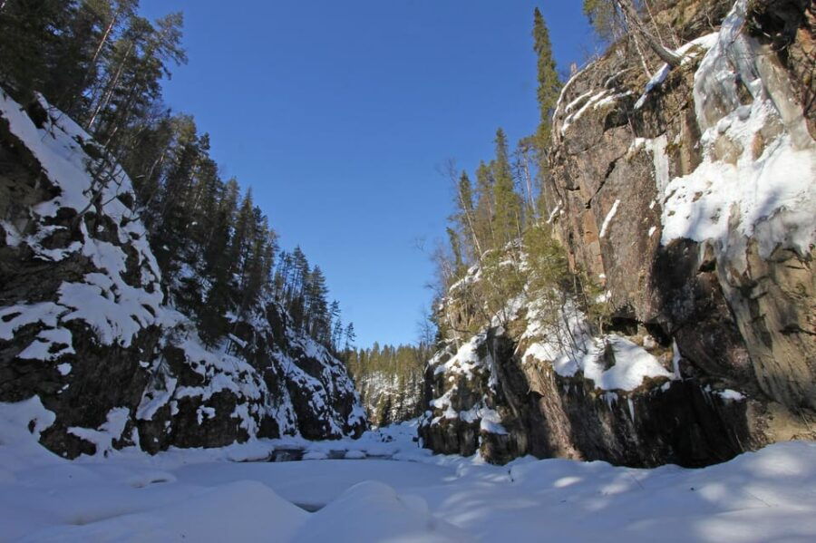 Rovaniemi: Auttiköngäs Winter Wilderness Hike & BBQ