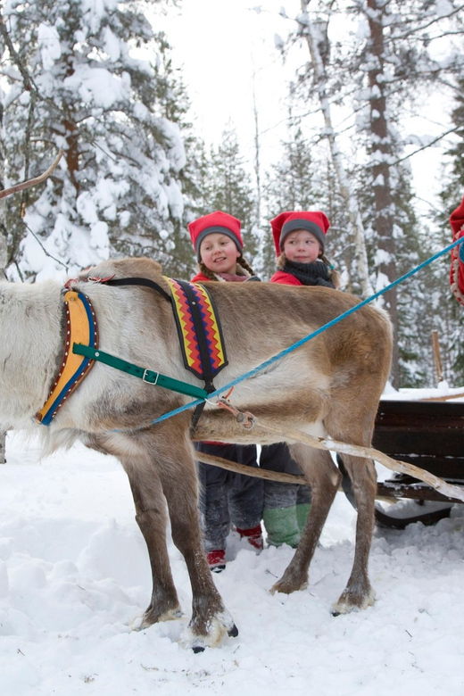 Rovaniemi: Santas Village-Photo-Reindeer/Husky Safari