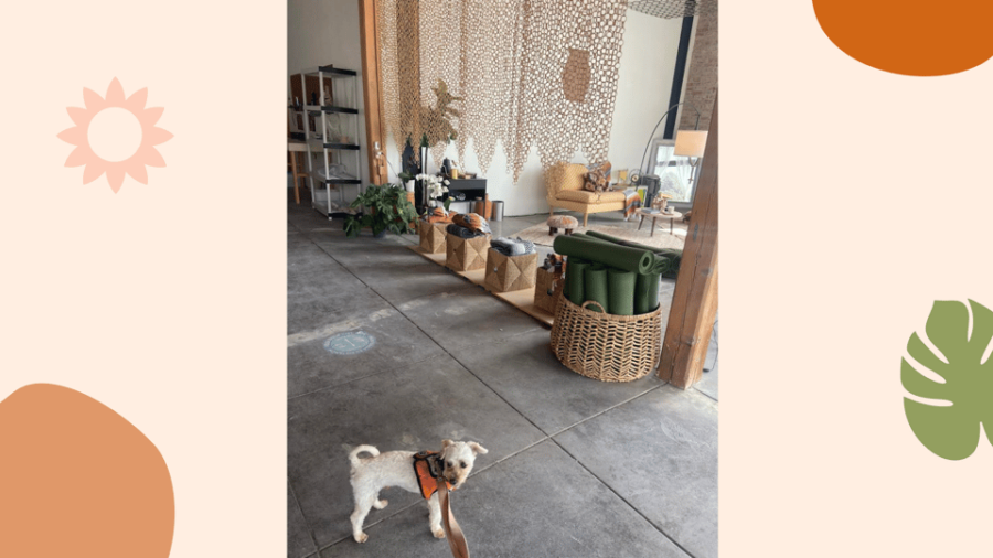 Santa Monica: Dog Friendly Private Ceramics Class