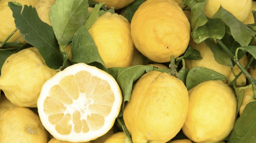 Sorrento: Walking Tour in Lemon Garden W/ Food Tasting - Tour Overview