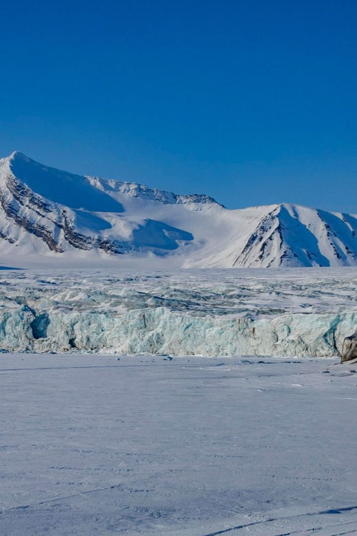 Svalbard: Dog Sledding and Northern Lights Tour With Hut …