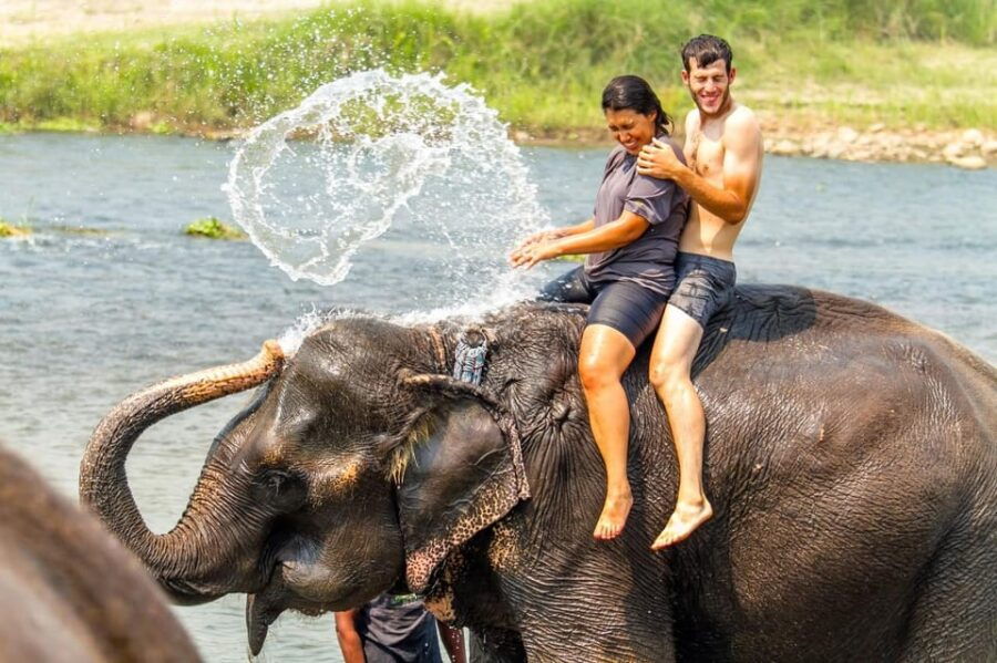 1 Night 2 Day Chitwan Safari Tour Pokhara - Tour Overview