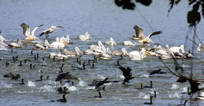 10 Days Nepal Wildlife and Bird Sanctuary Tour
