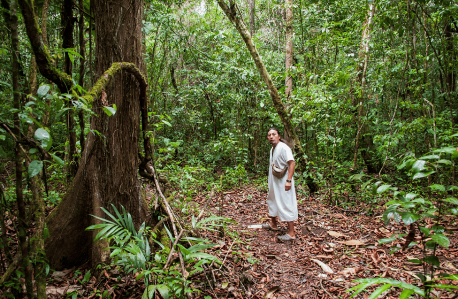 2 Day Lacandon Jungle, the Lost City and Bonampak Ruins