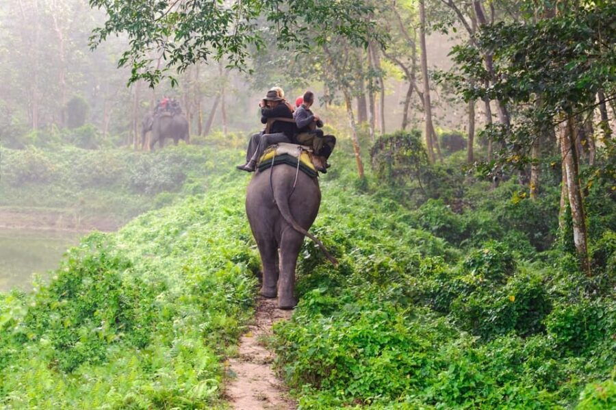 3-Day Chitwan Safari Tour With Hotel Transfers, Kathmandu