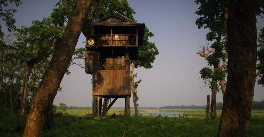 3 Nights Chitwan Adventure : With 1 Night Jungle Tower Stay