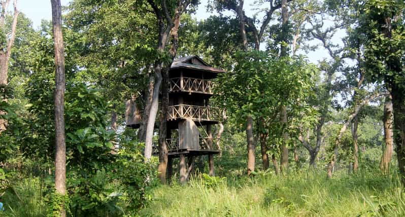 3 Nights Chitwan Adventure With 1 Night Jungle Tower Stay