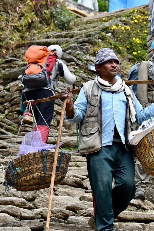 4-Day Mesmerizing Mardi Himal Guided Trek Pokhara