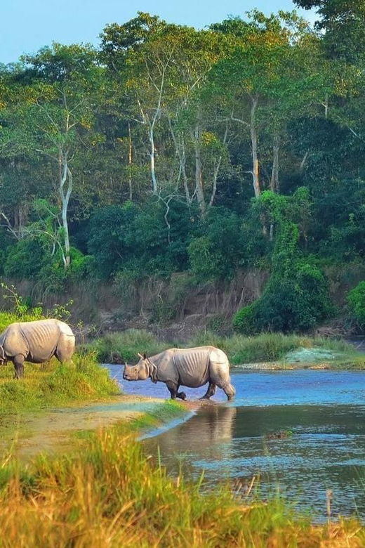 4-Day Private Chitwan National Park Safari Tour From Pokhara