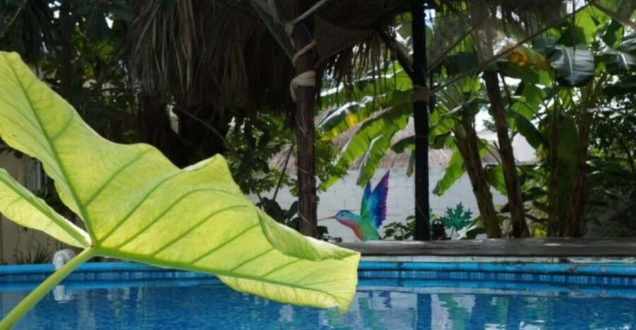 4 Days Yoga, Snorkel and Horseback Riding in Cozumel