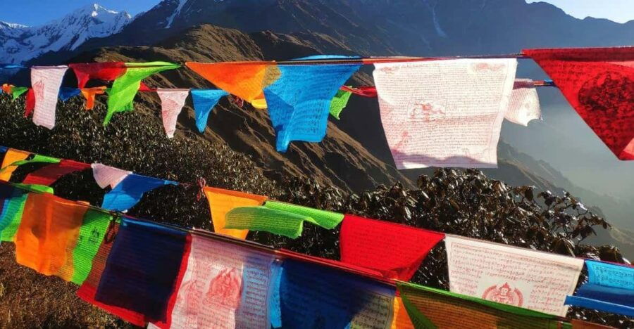 5 Days Mardi Himal Trek - Trek Overview