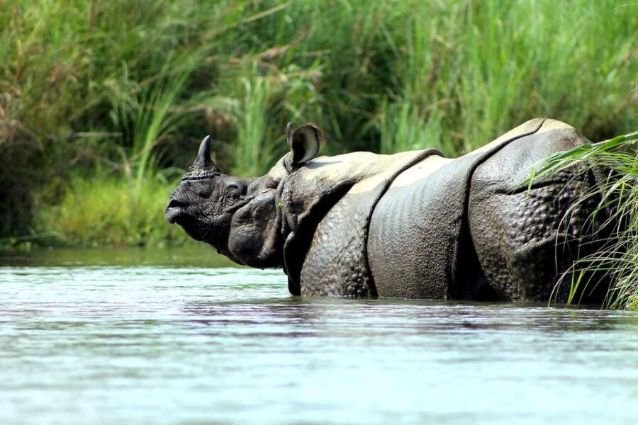 6 Days Nepal Tour With Chitwan National Park