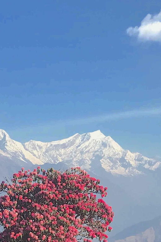 7 Day Poonhill Trek