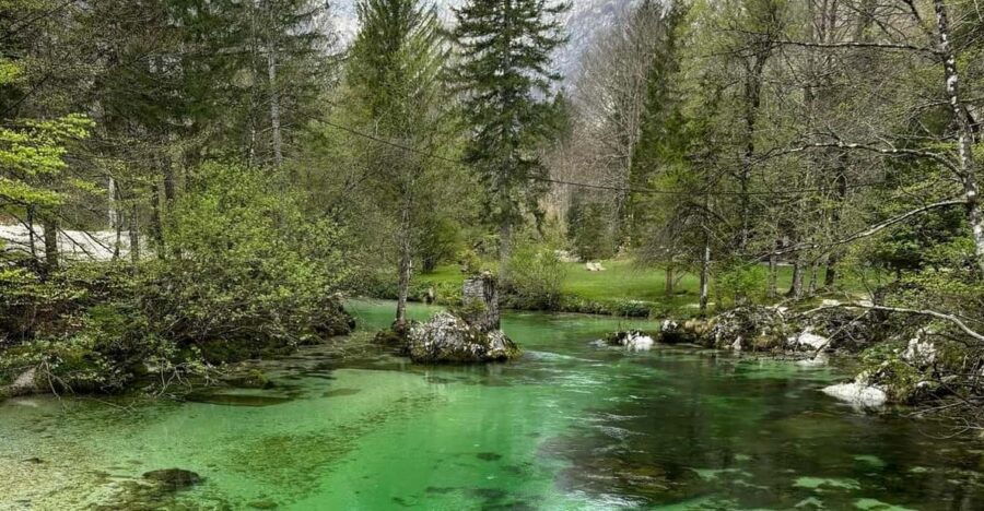 A Day Trip From Ljubljana: Magical Nature and Lake Bohinj - Destination: Lake Bohinj