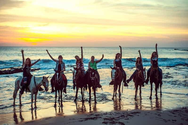 Acapulco: Horseback Riding and Baby Turtle Camp - Tour Overview and Pricing