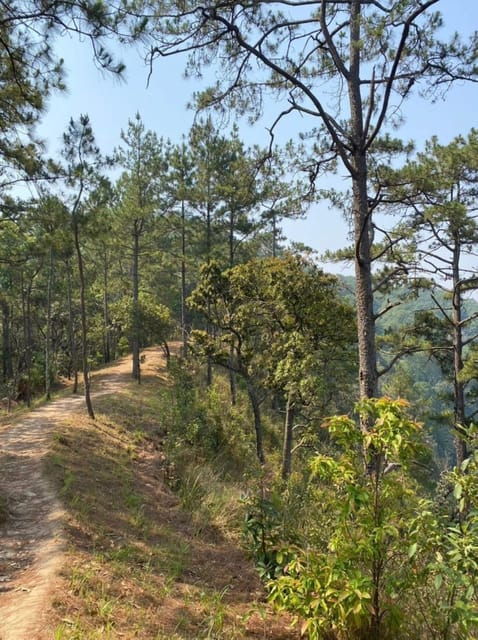 Adventure Hike in Doi Suthep-Pui National Park
