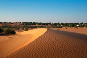 Al Maha, a Luxury Collection Desert Resort & Spa, Dubai - Resort Overview and Location