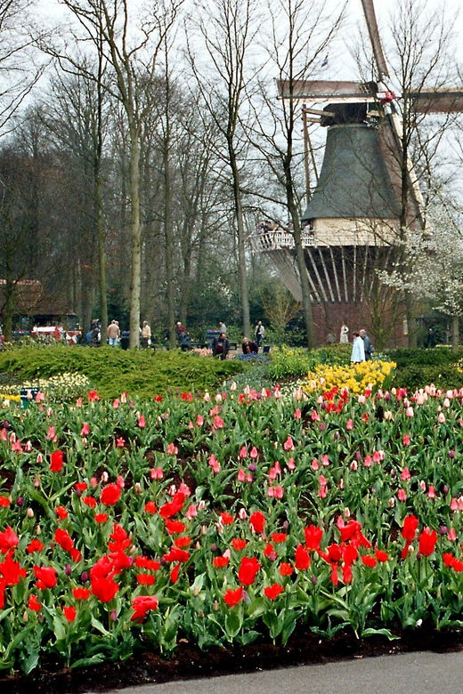 Amsterdam: Half-Day Keukenhof Guided Tour With Entrance - Tour Overview