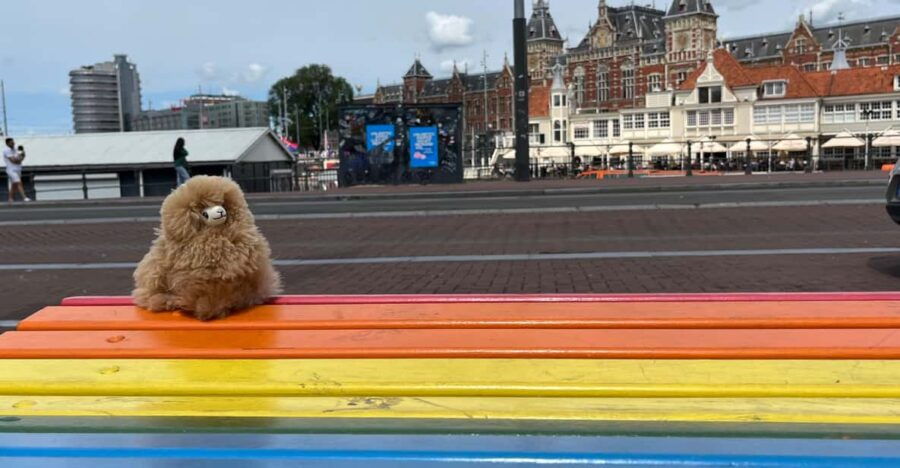 Amsterdam Private Walking Tasting Tour