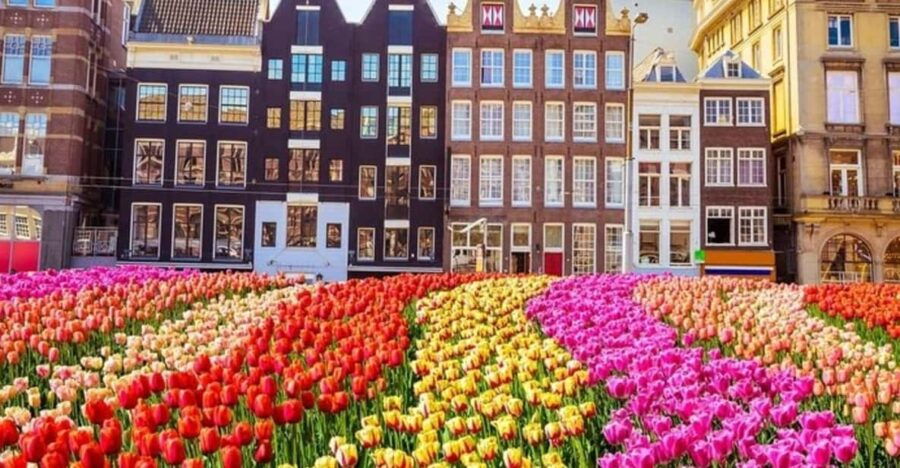 Amsterdam: Red Light District Walking Tour