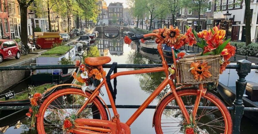 Amsterdam: Small Group Walking Tour With Fun Guide