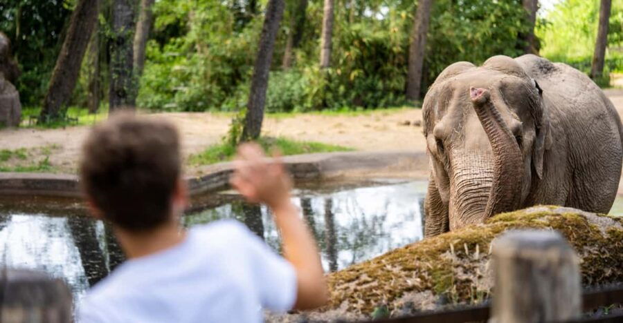 Arnhem: Burgers Zoo Entry Ticket