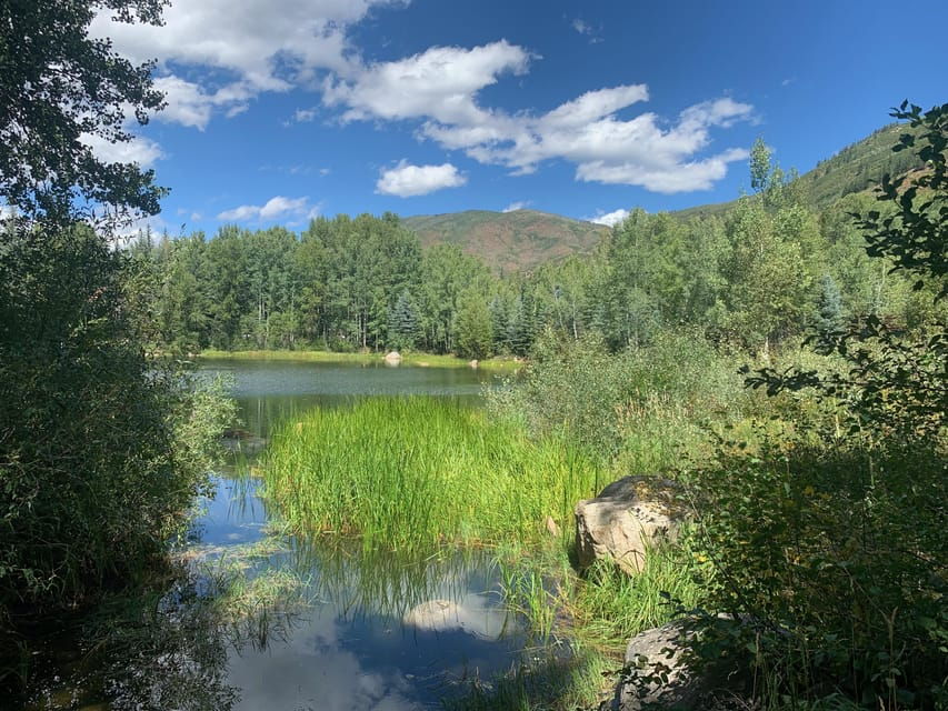 Aspen: Guided Light Hike With Roaring Fork River Views