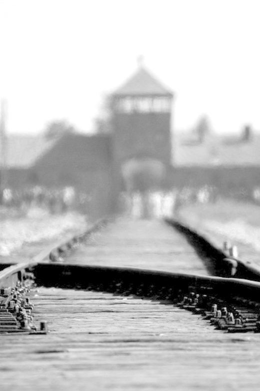 Auschwitz-Birkenau: Memorial Entry Ticket and Guided Tour - Overview of the Tour