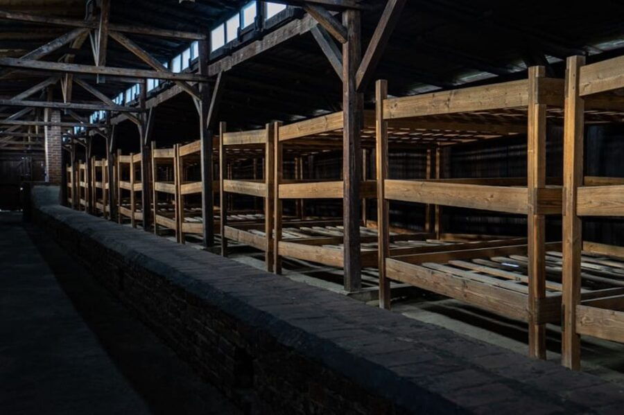 Auschwitz-Birkenau: Skip-the-Line Ticket and Guided Tour - Tour Overview and Pricing
