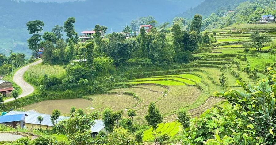 Australian Camp & Dhampus: 2-Day Private Trekking Tour - Tour Overview