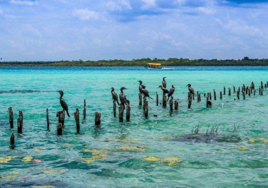 Bacalar: Pontoon Ride, Cenote Azul, Lunch and Transportation - Tour Overview
