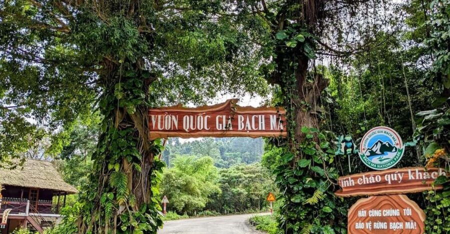 Bach Ma National Park Trekking Tour From Hue/Da Nang/Hoi An - Tour Overview and Pricing
