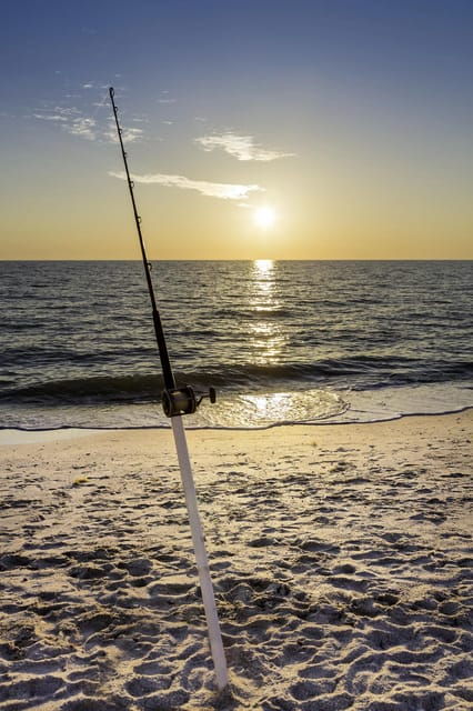 Baja: Adventure Shore Fishing - Explore La Ventana on ATV - Activity Overview