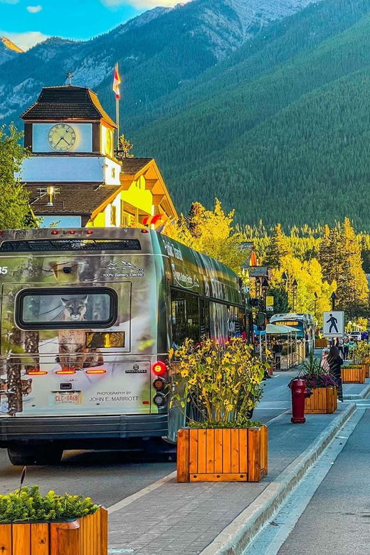 Banff:Gondola,Hot Spring, Minnewanka, Johnson&Two Jack Lake - Tour Overview and Pricing
