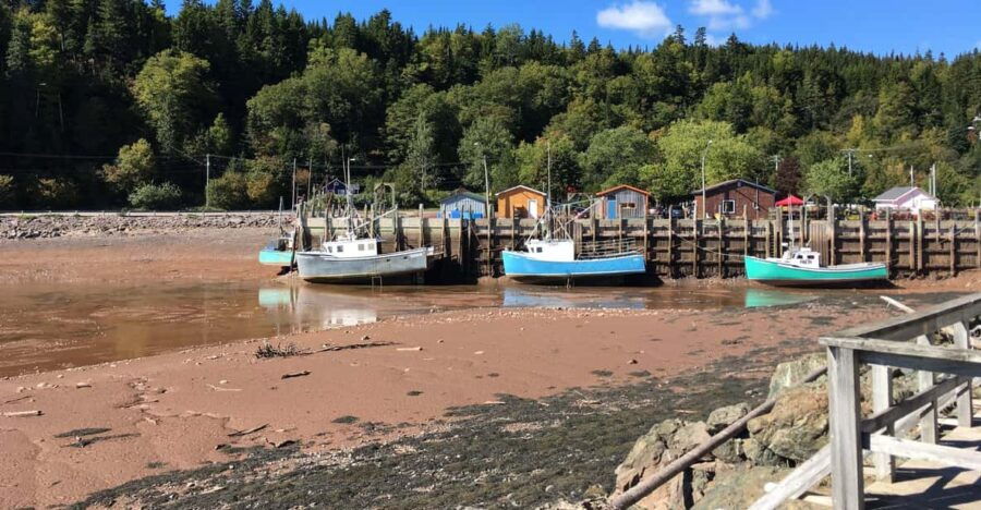 Bay of Fundy Tour by Mini Van