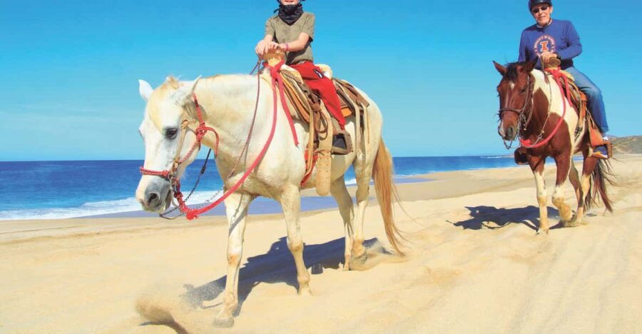 Beach CAN-AM SXS X3 & Horseback Ride in Cabo by Cactus Tours - Activity Overview