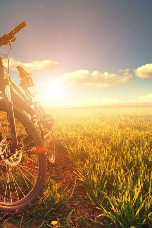 Bike & Wine in Budapest Region – Guided Gastro Tour