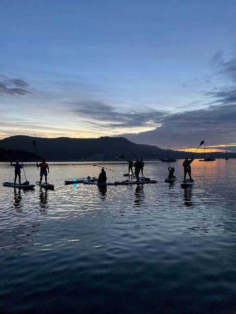 Brentwood Bay: Stand-up Paddleboard Bioluminescence Tour - Tour Overview