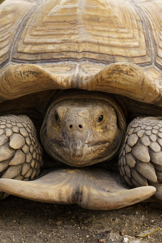 By Brothers: Family Adventure, Attractions, Animals & More