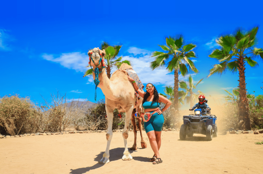 Cabo San Lucas: Camel Ride & ATV With Mexican Lunch - Tour Overview and Pricing