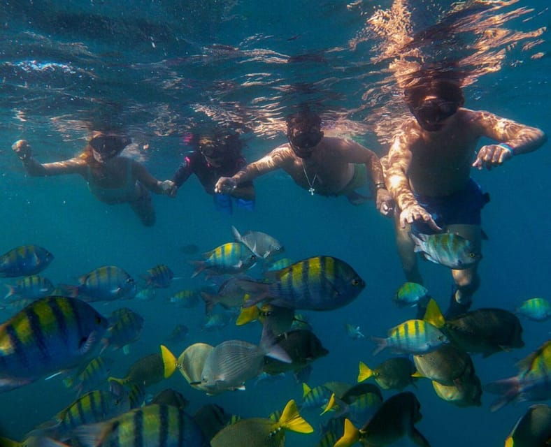 Cabo San Lucas: Marine Reserve Snorkeling Experience