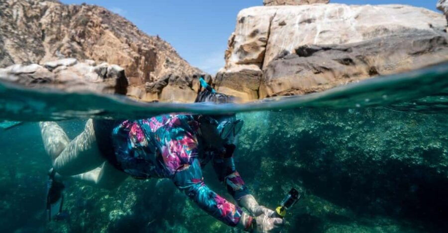 Cabo San Lucas: Reef Snorkel Experience