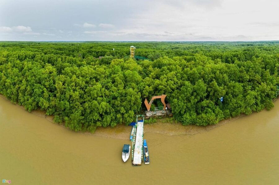 Can Gio Mangrove Forest 1 Day